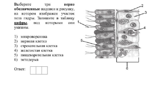 Kra26.cc