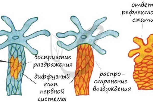 Как найти официальный сайт кракен