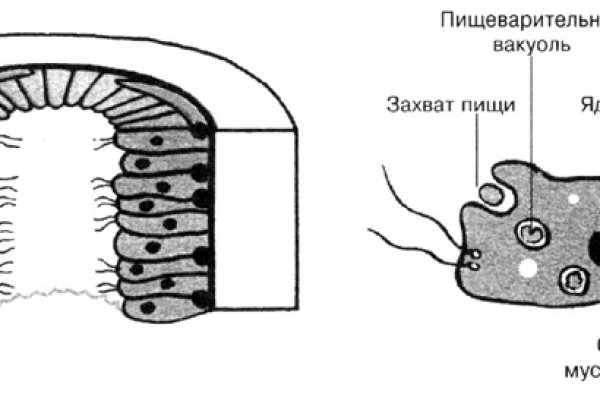 Даркнет вход